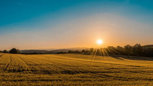 Open prairie land